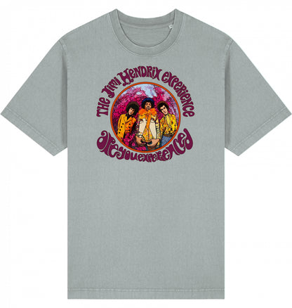 Jimi Hendrix Are You Experienced Garment-Dyed T-Shirt | J’LŶA