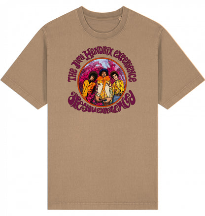 Jimi Hendrix Are You Experienced Garment-Dyed T-Shirt | J’LŶA