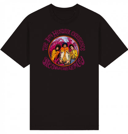Jimi Hendrix Are You Experienced Garment-Dyed T-Shirt | J’LŶA