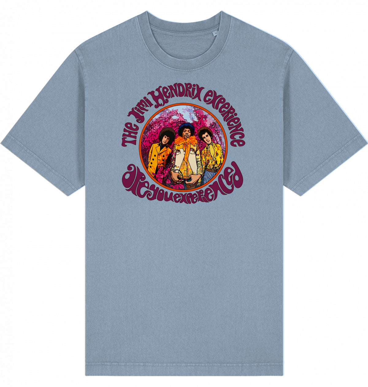 Jimi Hendrix Are You Experienced Garment-Dyed T-Shirt | J’LŶA