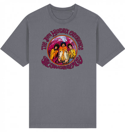 Jimi Hendrix Are You Experienced Garment-Dyed T-Shirt | J’LŶA
